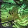 Fancy Dress Costume/Halloween _5/6y Image 4