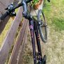 Liv Alight Hybrid Bike Image 6