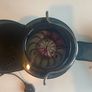 Brandnew Juicilox juicer Silvercrest Image 5