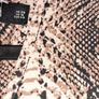 Snake print jumpsuit Image 5