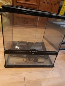 Terrarium