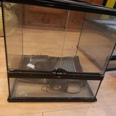 Terrarium