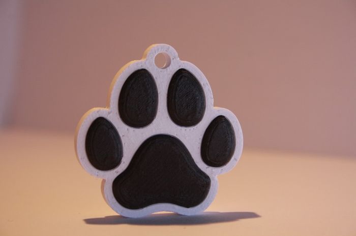 Personalised 3D Printed NFC Smart Pet Tag / Keychain