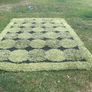 Rug Image 2