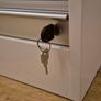 Ikea Aspvik roll top cabinet Image 7