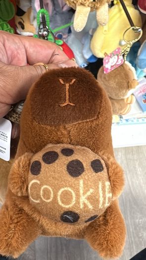 keychain