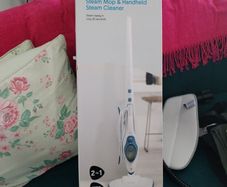 Steam mop