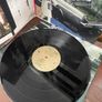 Chelsea Light Moving - Chelsea Light Moving (Sonic Youth / Thurston Moore) Image 4