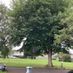 alMaynooth