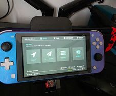Nintendo switch lite+ game's