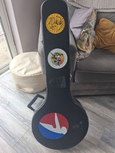 Banjo case