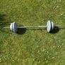 32.5kg Weight plates and Barbell with clips Image 2