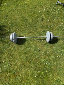 32.5kg weight Plates with barbell