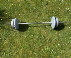 32.5kg weight Plates with barbell