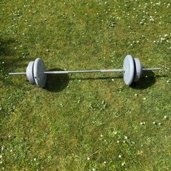 32.5kg weight Plates with barbell
