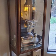 Display Cabinet Shop? Home?