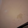 beko freestanding fridge with water dispenser Image 2