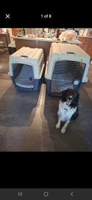 Pet Crate x 2