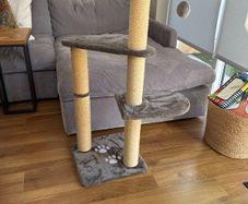 Cat Scratching Post