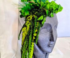 Handmade home deco-  preserved moss