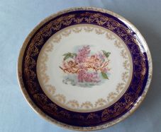 Vintage Porcelain Wall or Cabinet Plate