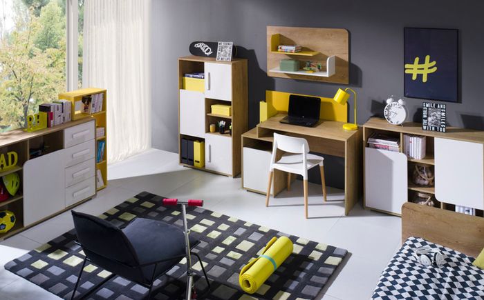 Youth System Furniture 1