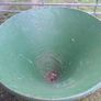 Fertiliser Spreader Image 3