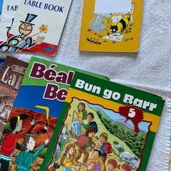 Primary school books