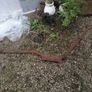Section of Pierce No:3 Plough Part Image 9
