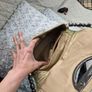 women's bag Image 8