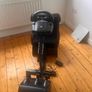 gaming chair Image 5