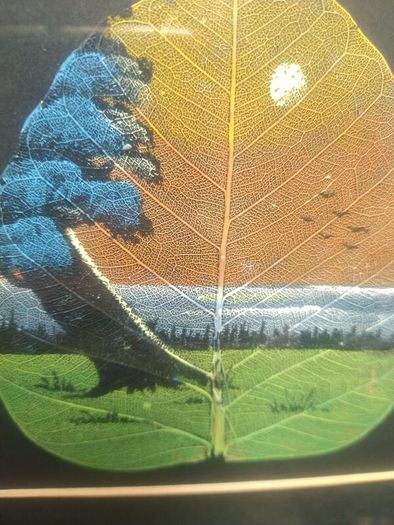 3x Peepal leaf pictures