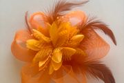 Hair fascinator