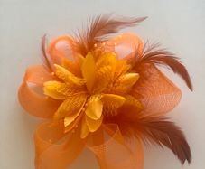 Hair fascinator