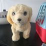 Toys dog Image 6