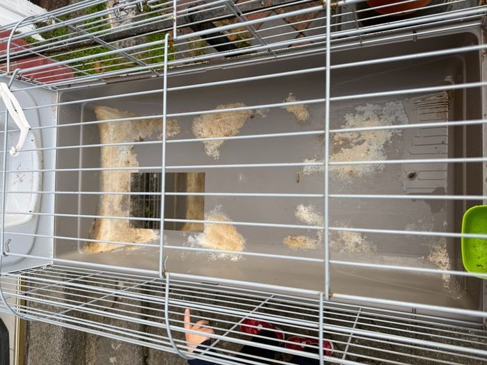 Cage