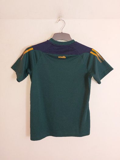 offaly gaa jersey