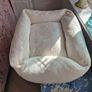 Dog Bed Image 3