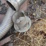 chimney flue pipe Image 2