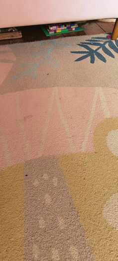 Rug 160x220
