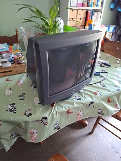 Dell E771p CRT Monitor with stand