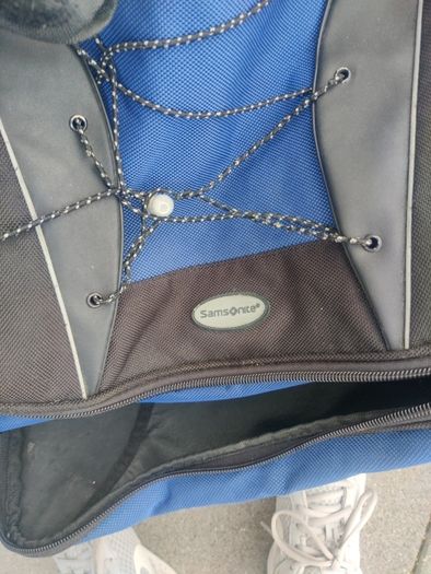 Samsonite Travel bag FREE
