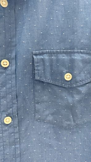 J.Crew Blue Polka Dot Chambray Shirt