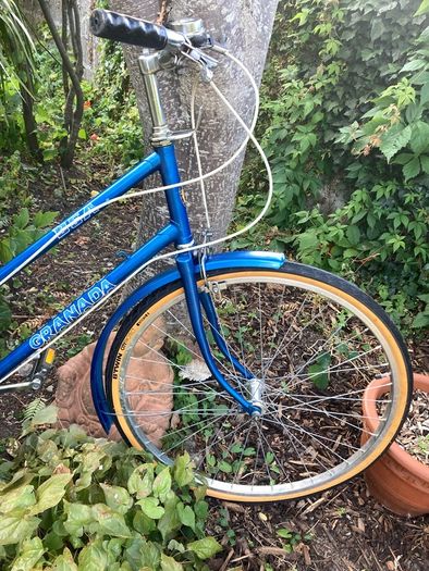 Vintage Raleigh Bike
