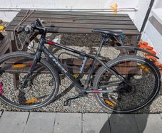 Trek FX3