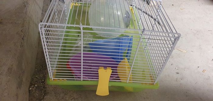Hamster Cage