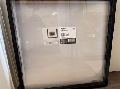 Ikea Ribba Picture Frame