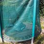 10ft Trampoline Image 2