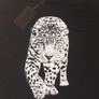 t shirt roberto cavalli size xxl Image 2