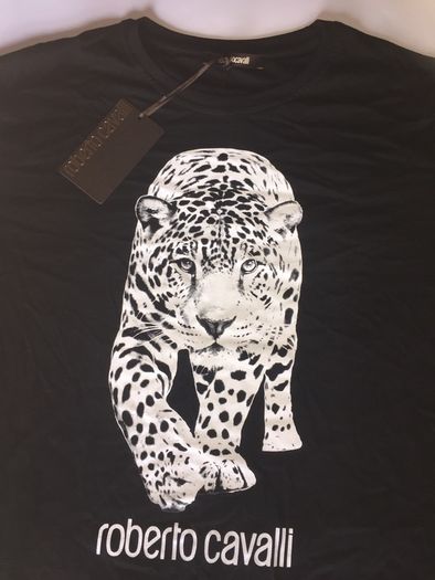 t shirt roberto cavalli size xxl